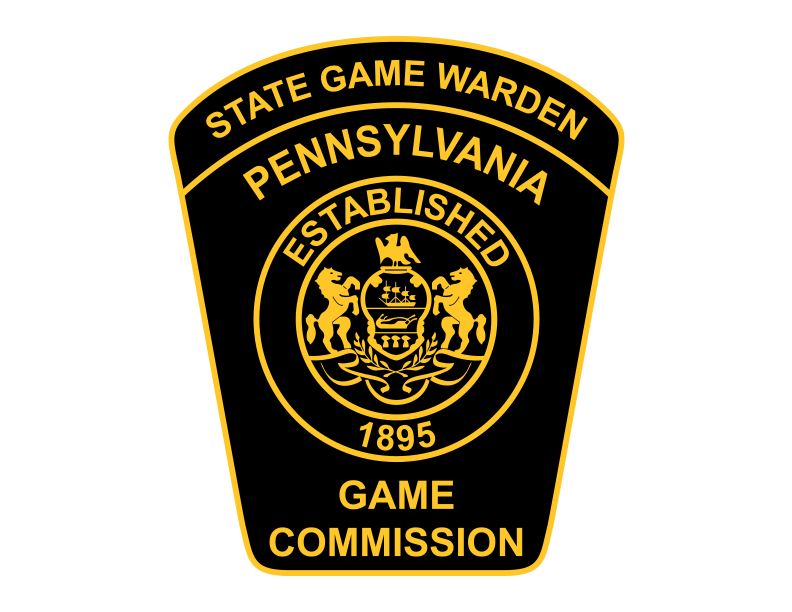 Black and Gold Patch